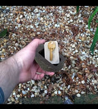 Stone Key Box Simulation Stone Outdoor Courtyard Hidden Door Key Box  Small Stone Resin Stone Shape Hidden Home Accessories